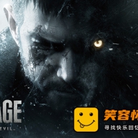 生化危机8 村庄 黄金版|中字-国语|萝丝魅影DLC-佣兵模式+MOD...